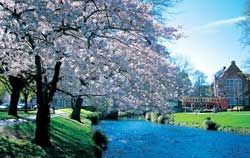 Christchurch spring